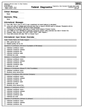 IRS Form 990 2012