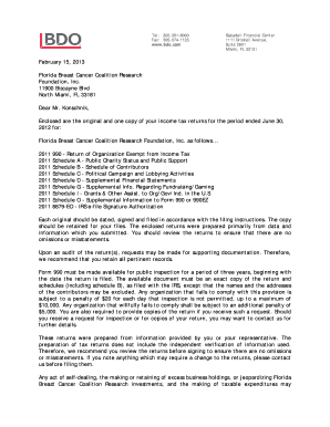 IRS Form 990 Tax Return