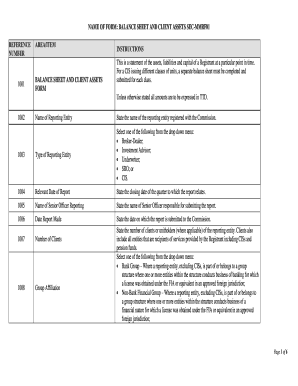 Balance Sheet and Client Assets SEC-MMRF01