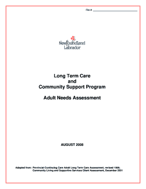 Adult Needs Assessment Form