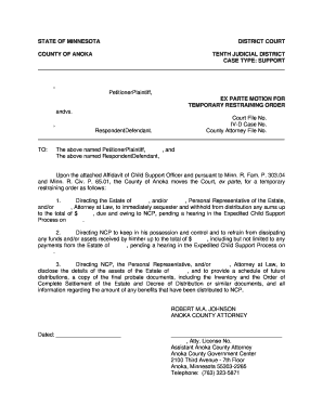 Minnesota Temporary Restraining Order for Child Support