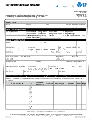 New Hampshire Employee Application