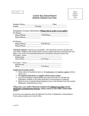 Diabetic Medical Care Plan