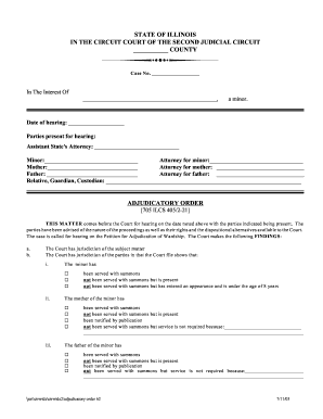 Printable pafs 702 form - STATE OF ILLINOIS IN THE CIRCUIT COURT OF THE SECOND