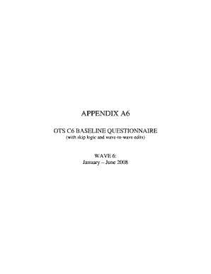 OTS C6 Baseline Questionnaire