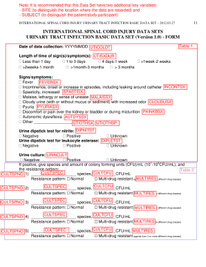 International Spinal Cord Injury Urinary Tract Infection Basic Data Set