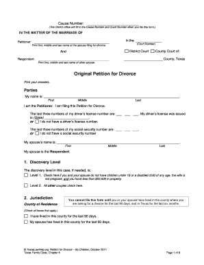 Texas Divorce Petition No Children