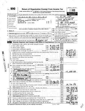 Form 990 Return of Organization Exempt From Income Tax