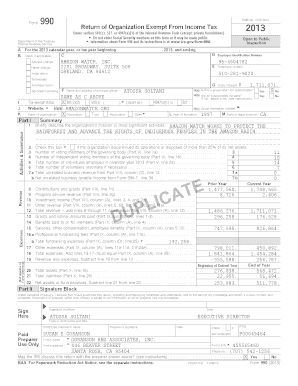 Form 990 2013