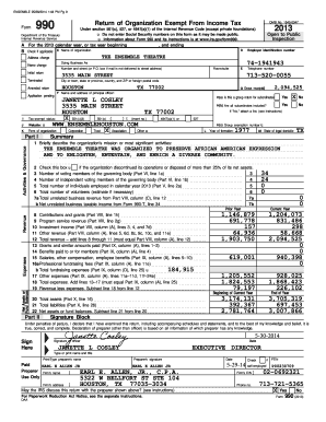 IRS Form 990 2013