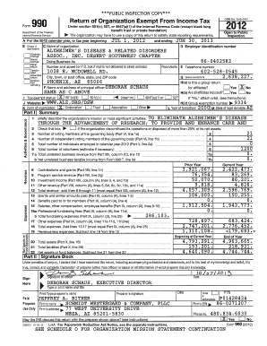 Form 990 Tax Exempt Organization Return