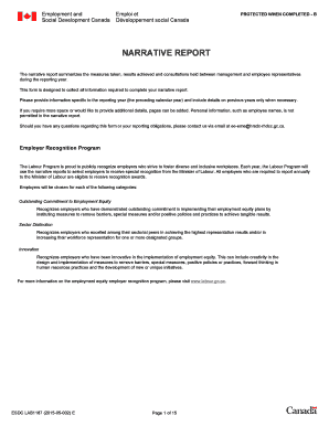 Employment Equity Narrative Report Form