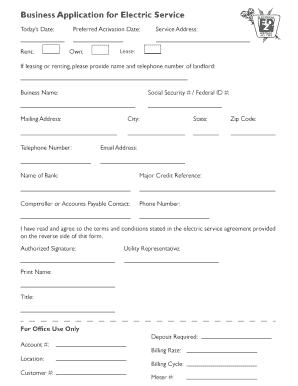 Business Application for Electric Service