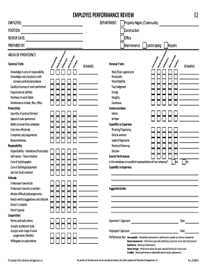 Employee Performance Review Form