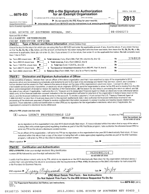 IRS Form 8879-EO Signature Authorization