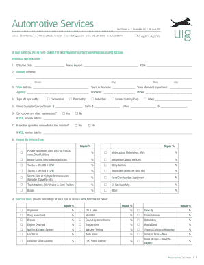 Independent Auto Dealer Program Application