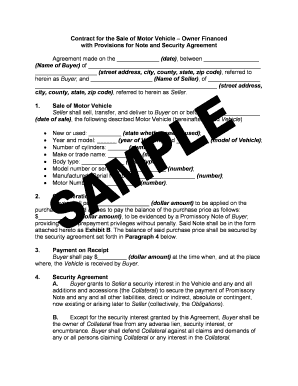 Motor Vehicle Sale Agreement with Financing