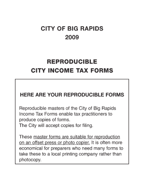 City of Big Rapids Income Tax Return 2009