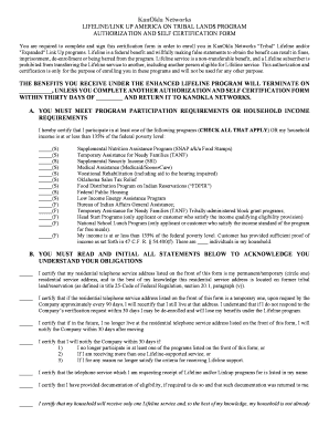 Lifeline Link Up Tribal Lands Authorization Form