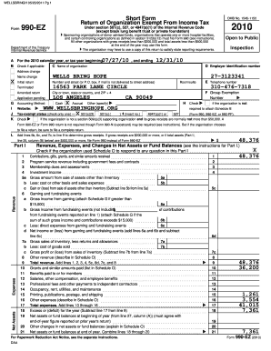 Form 990-EZ 2010