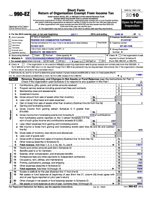 Form 990-EZ 2010