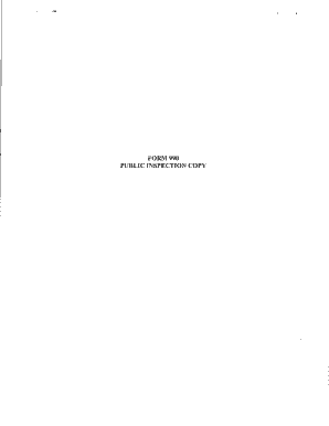 Form 990 2010