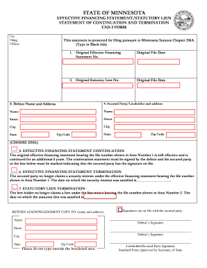 Minnesota Effective Financing Statement