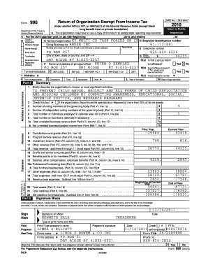 IRS Form 990 2010