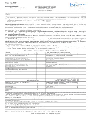 Wisconsin Individual Financial Statement