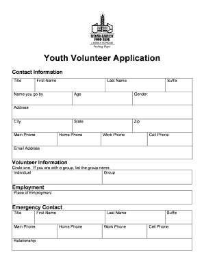 Youth Volunteer Application