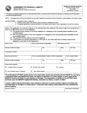 Indiana Financial Liability Agreement for Minors
