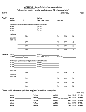 Matrimonial Request for Judicial Intervention Addendum