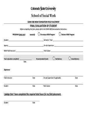 MSW Foundation Field Placement Final Evaluation Form