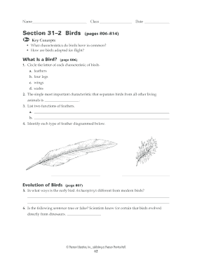 Birds Worksheet