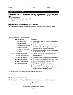 Nervous System Worksheet