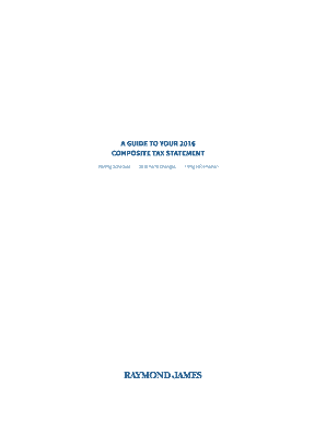 2016 Consolidated Tax Statement Guide