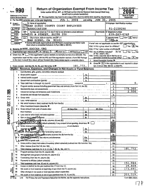 IRS Form 990 2004