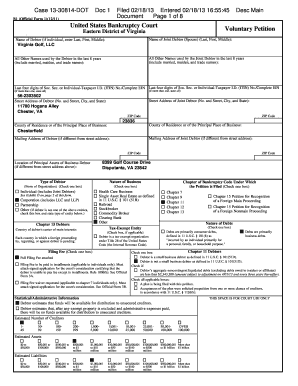 US Bankruptcy Voluntary Petition