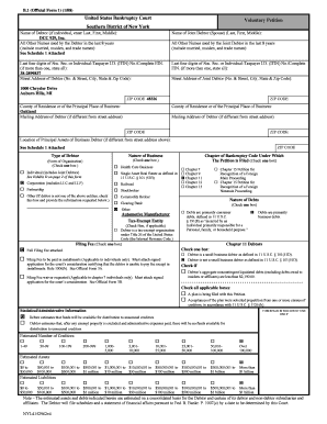 US Bankruptcy Court Voluntary Petition