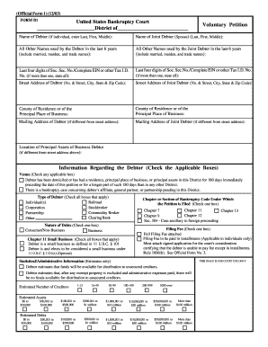 US Bankruptcy Court Voluntary Petition