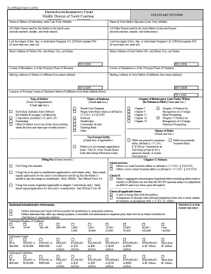 US Bankruptcy Voluntary Petition Form