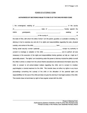 Ohio Power of Attorney for Child Care