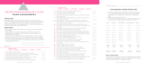 Team Assessment Form