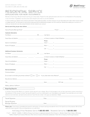 Form preview picture