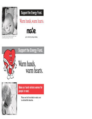 Energy Fund Donation Form