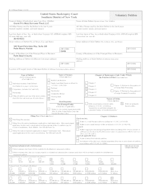 US Bankruptcy Court Voluntary Petition
