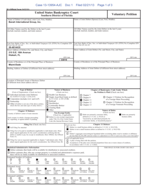 US Bankruptcy Court Voluntary Petition
