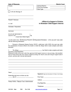 Minnesota Child Support Reinstatement Affidavit