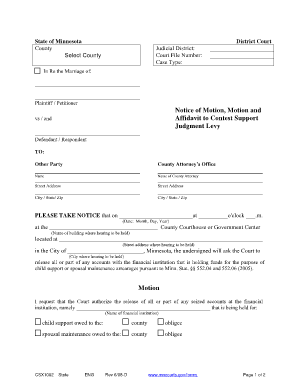 Minnesota Motion and Affidavit to Contest Support Levy