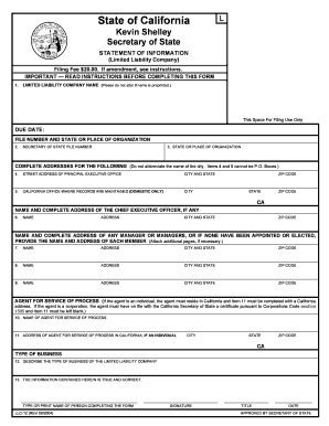 California LLC Statement of Information